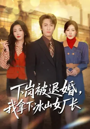 下岗被退婚,我拿下冰山女厂长海报