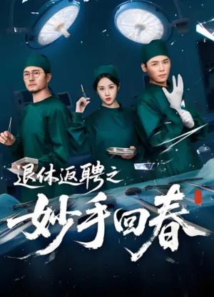退休返聘之妙手回春海报