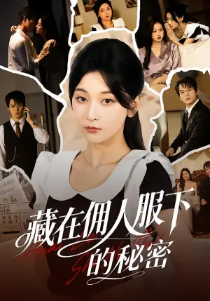 藏在佣人服下的秘密海报