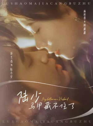 陆少马甲藏不住了海报