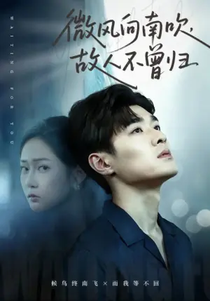 微风向南吹,故人不曾归海报