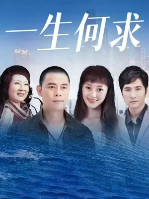 一生何求海报