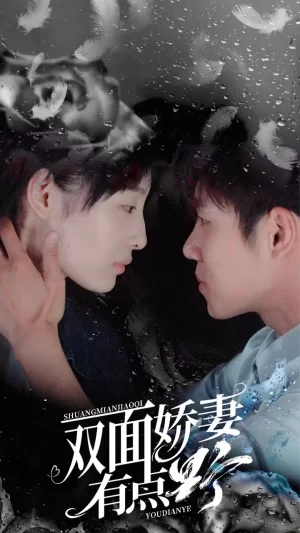 双面娇妻有点野海报