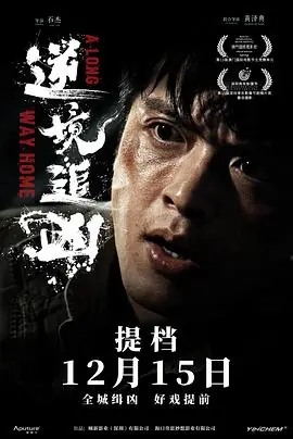 逆境追凶海报