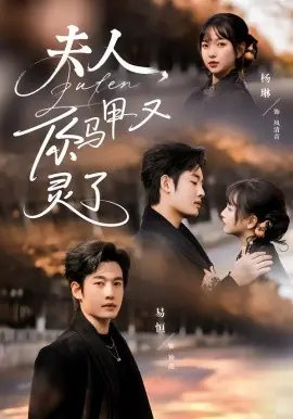 夫人你马甲又灵了海报