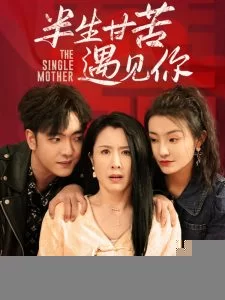 半生甘苦遇见你海报
