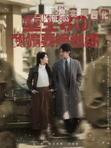 重生80,我偏要嫁纨绔海报