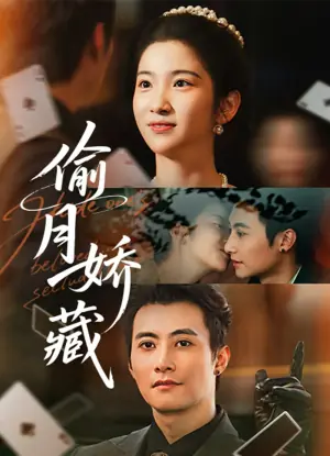偷月娇藏海报