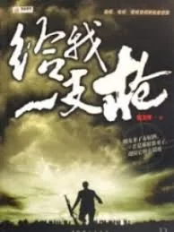 给我一支枪海报