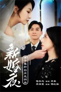 新婚夜,妻子要和白月光洞房海报