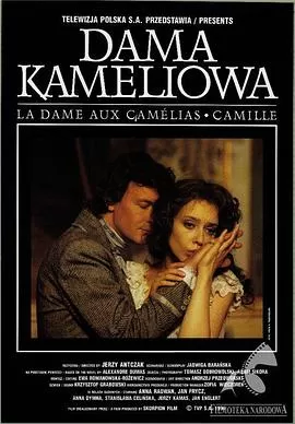茶花女海报