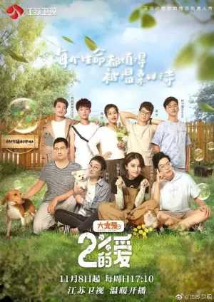 百分之二的爱海报