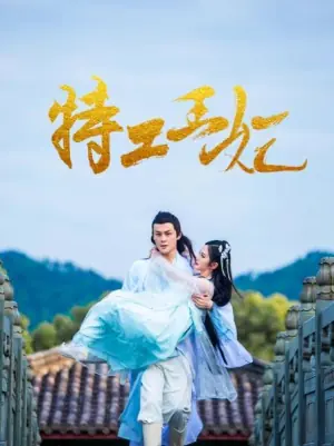 特工王妃海报