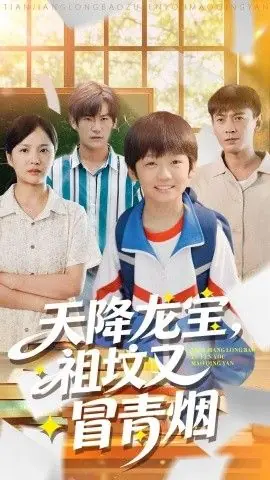 天降龙宝,祖坟又冒青烟了海报