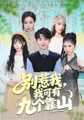 别惹我,我可有九个靠山海报