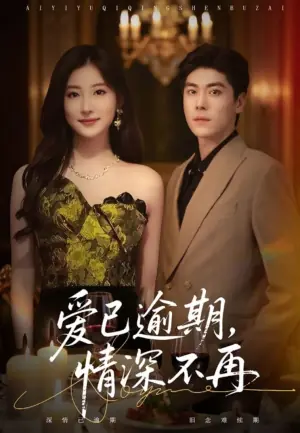 爱已逾期,情深不再海报