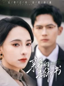 亲爱的楼秘书海报