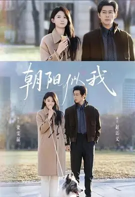 朝阳似我海报