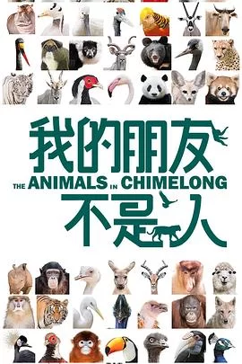 我的朋友不是人海报