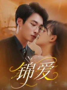 锦爱海报