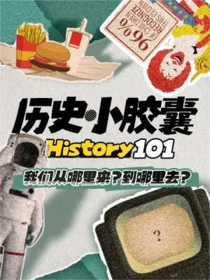 历史小胶囊海报