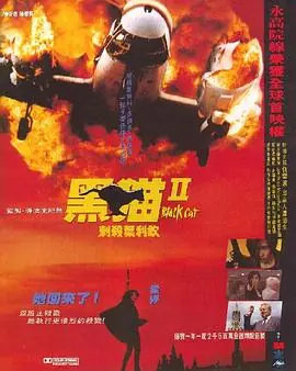 黑猫II:刺杀叶利钦黑貓II刺殺葉利欽海报