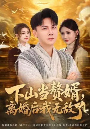 下山当赘婿,离婚后我无敌了海报