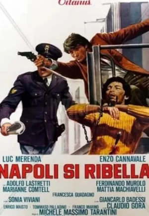 那不勒斯里贝拉海报