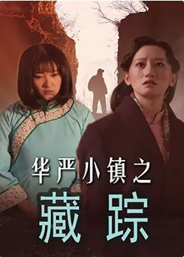 华严小镇2之藏踪海报