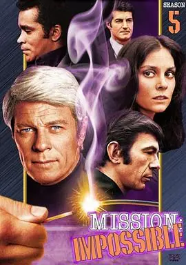 虎胆妙算第五季海报