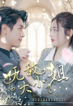 无敌大小姐海报