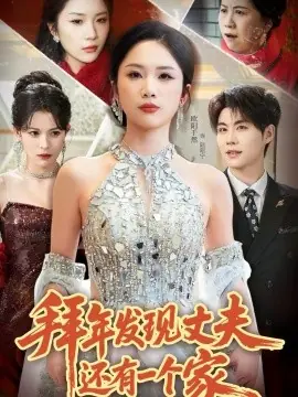 拜年发现丈夫还有一个家海报