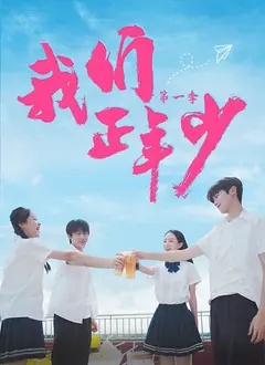 我们正年少海报