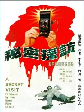 秘密采访[电影解说]海报