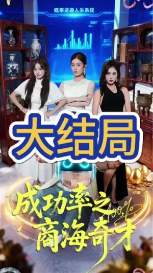 成功率之商海奇才海报