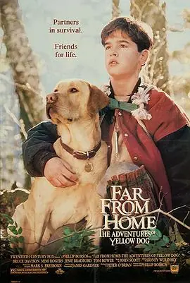 小黄历险记FarfromHome:TheAdventuresofYellowDog海报