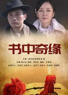 稻草人上门书中奇缘海报
