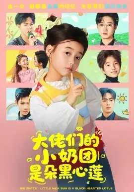 大佬们的小奶团是朵黑心莲海报