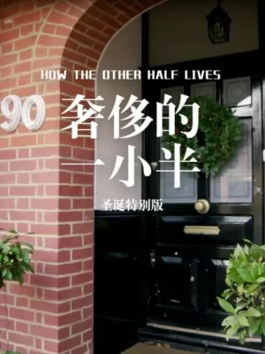 奢侈的一小半:圣诞特别版海报