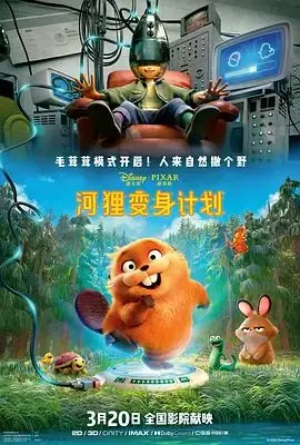 河狸变身计划(葡萄牙语)海报