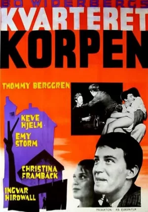 乌鸦住宅区海报