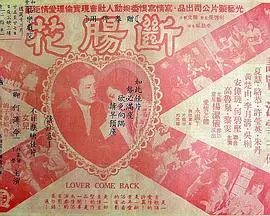 断肠花(粤语)海报