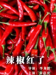 辣椒红了海报