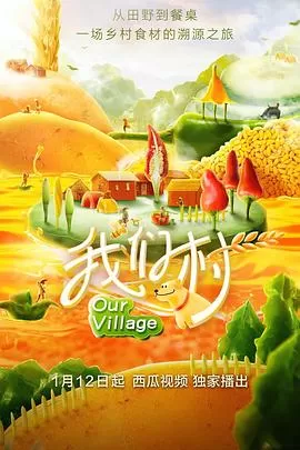 我们村第一季海报