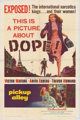 国际特警队海报