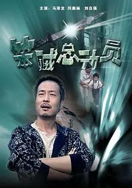 笨贼总动员海报