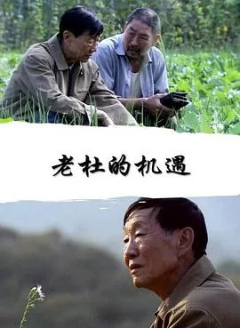 老杜的机遇海报