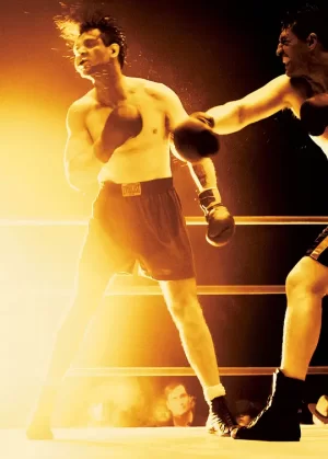 拳击手[影视解说]海报