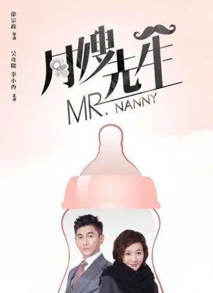 月嫂先生网络版海报