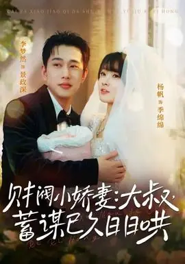 财阀小娇妻大叔蓄谋已久日日哄海报